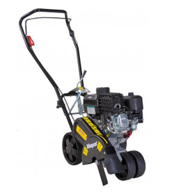 Masport EDGERB kantensnijder