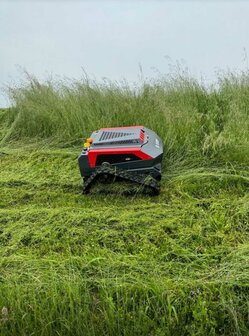 BLUEBIRD BUSH MASTER  FM 24-65 50Ah accu Ruwterrein maaier/taludmaaier