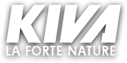 Kiva Calypso professionele onkruidborstelmachine