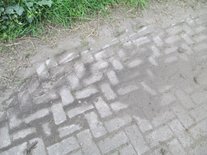 Onkruidborstel voor bosmaaier 230 x 20