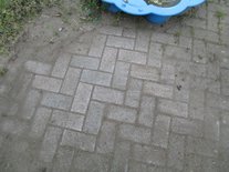 Onkruidkomborstel voor bosmaaier 230 x 25,4