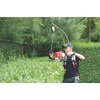 GTMProfessional Elephants Trunk 2
