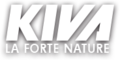 Kiva Calypso professionele onkruidborstelmachine
